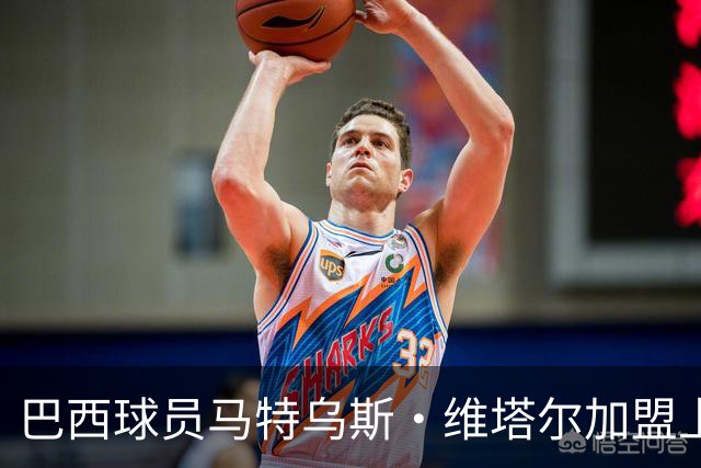 巴西球员马特乌斯·维塔尔加盟上海海港的确认信息分析